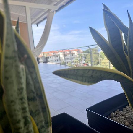B&B Margani Tropea Eksteriør billede