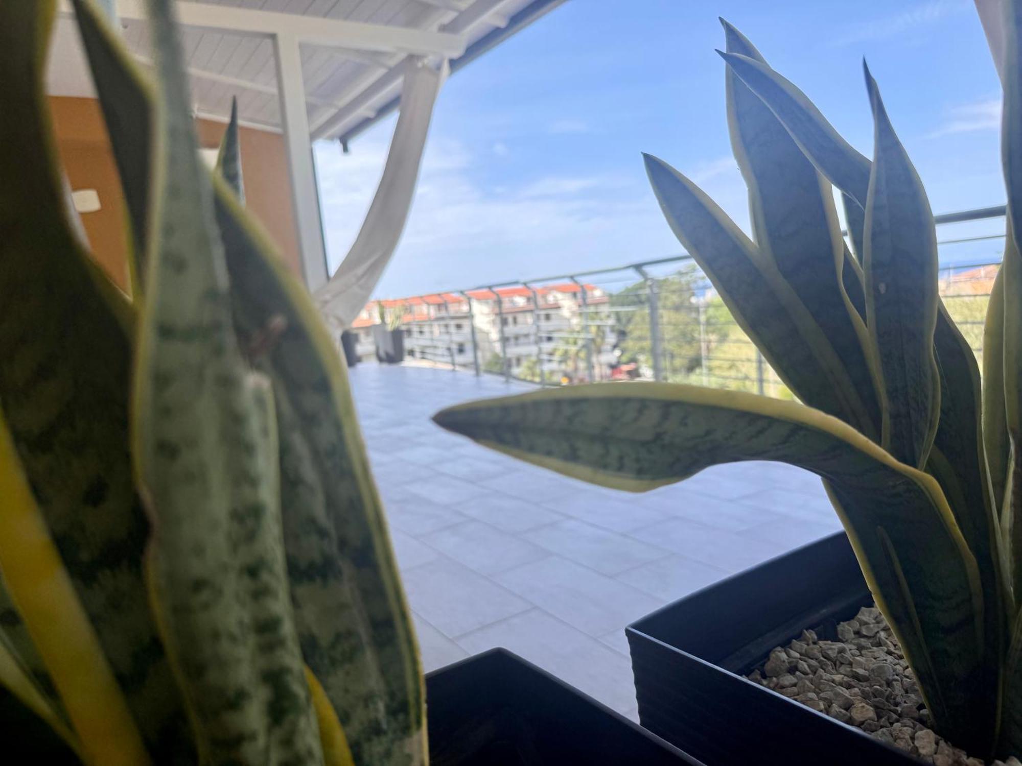 B&B Margani Tropea Eksteriør billede